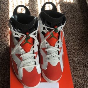 Jordan 6 Gatorade colorway worn 1 time.